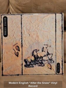 Modern-English-After-the-Snow-Vinyl-Record