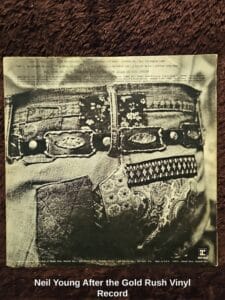 Neil-Young-After-the-Gold-Rush-Vinyl-Record-second-image