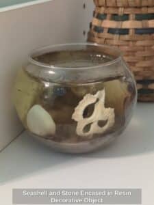 Seashell-and-Stone-Encased-in-Resin-Decorative-Object