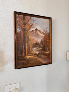 IMG_4257