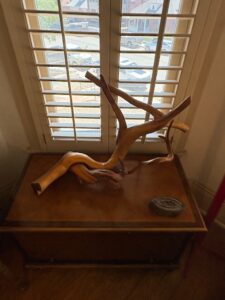Mid-Century-Modern-Sculptural-Driftwood-Lamp