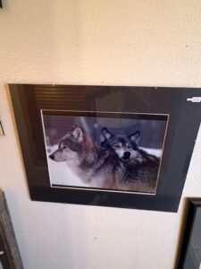Richard-Jackson-Montana-Wolves-Photographic-Print