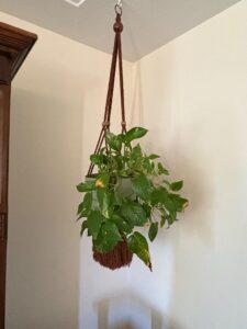 Vintage-Macram-Plant-Hanger