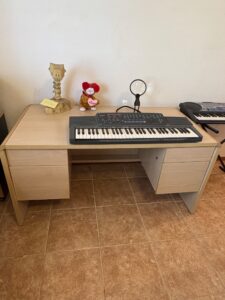 Casio-CTK-Electronic-Keyboard-B