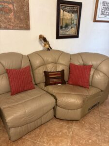 Contemporary-Leather-Sectional-Sofa-second-image