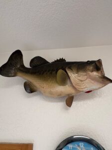 Largemouth-Bass-Taxidermy-Mount