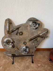 Moroccan-Orthoceras-and-Ammonite-Fossil-Plate