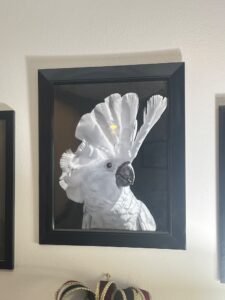 Estate Sale with Home Furnishings, Decor, Clothing, Garage and More!