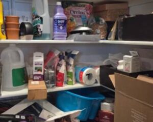 02b52409-1a94-47db-9532-488492c3be22