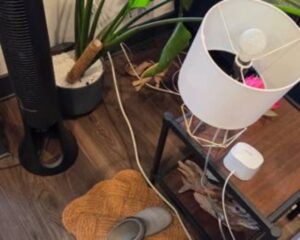 d8f8e3d6-66d1-499a-ade4-6e4e1aa79717