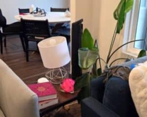 fd7eeafb-8add-4d78-8fec-35104ad90600