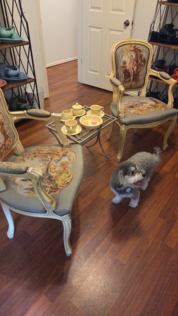 Cedar Park Estate Sale – Art, Antiques & Vintage Finds | Blue Moon Estate Sales