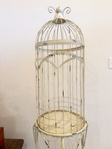 IMG_5900