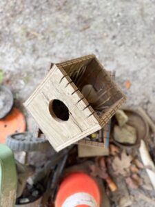 IMG_6670