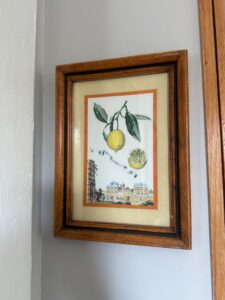 IMG_7795-2
