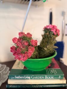 IMG_0950
