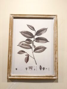 IMG_5216