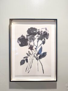 IMG_5348
