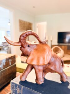 IMG_1391