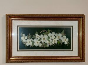 IMG_6529
