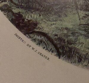 IMG_5391