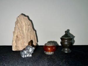 IMG_2198-1