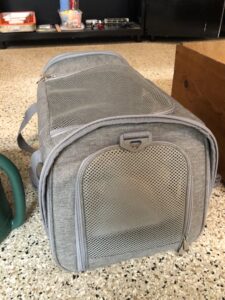 IMG_0189