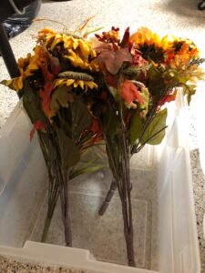 IMG_0192-2