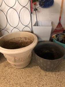 IMG_0202