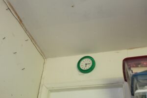 IMG_0339