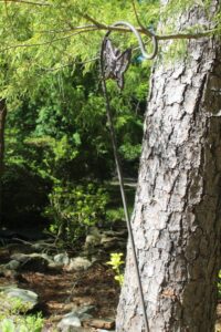 IMG_0363