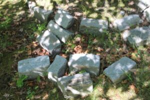 IMG_0366