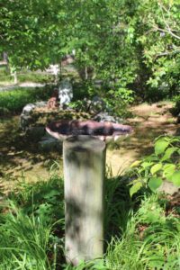 IMG_0379