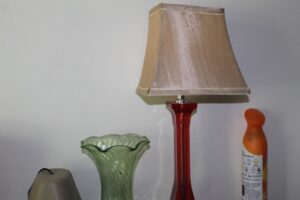 IMG_0388