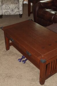 IMG_8518