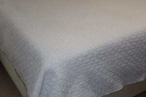 IMG_8730
