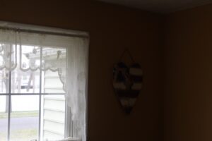 IMG_8744-1