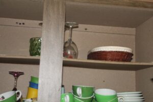 IMG_8786