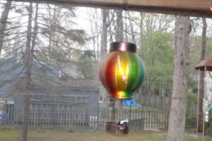 IMG_8830