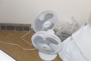 IMG_8901