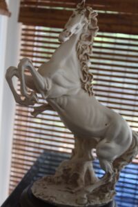 IMG_9091
