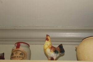 IMG_9452