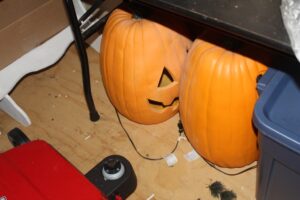 IMG_9987