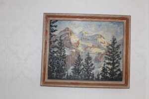 IMG_0499