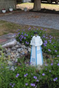 IMG_0871