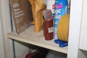 IMG_0910