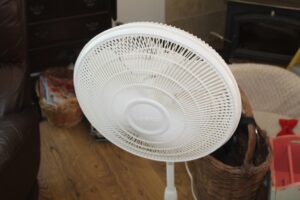 IMG_0972