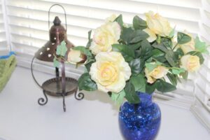 IMG_2350