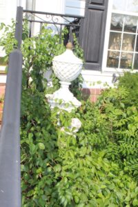 IMG_3324