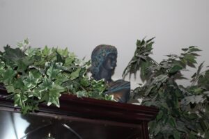 IMG_3749